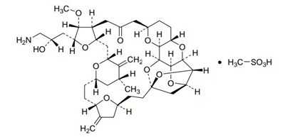Formula Structure (Figure 01 Formula Structure)